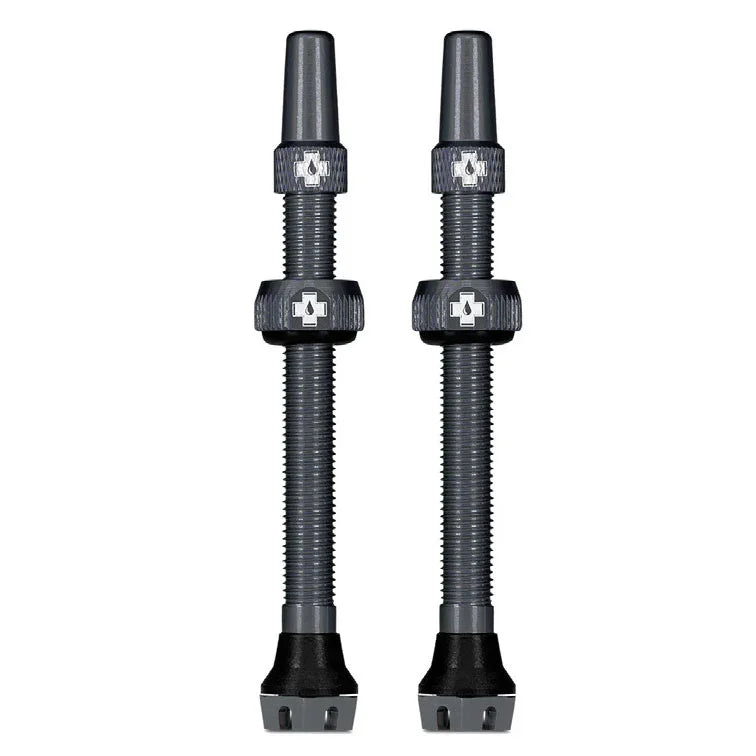V2 Tubeless Valve Kit - Gray 44mm Pair - Bicycle Warehouse