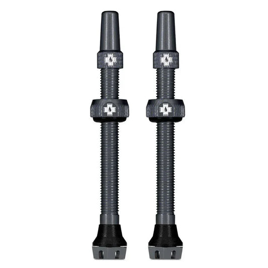V2 Tubeless Valve Kit - Gray 60mm Pair - Bicycle Warehouse
