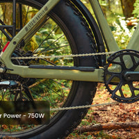 Aventon Aventure 3 Ebike - Bicycle Warehouse