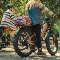 Aventon Aventure 3 Step Through Ebike - Bicycle Warehouse