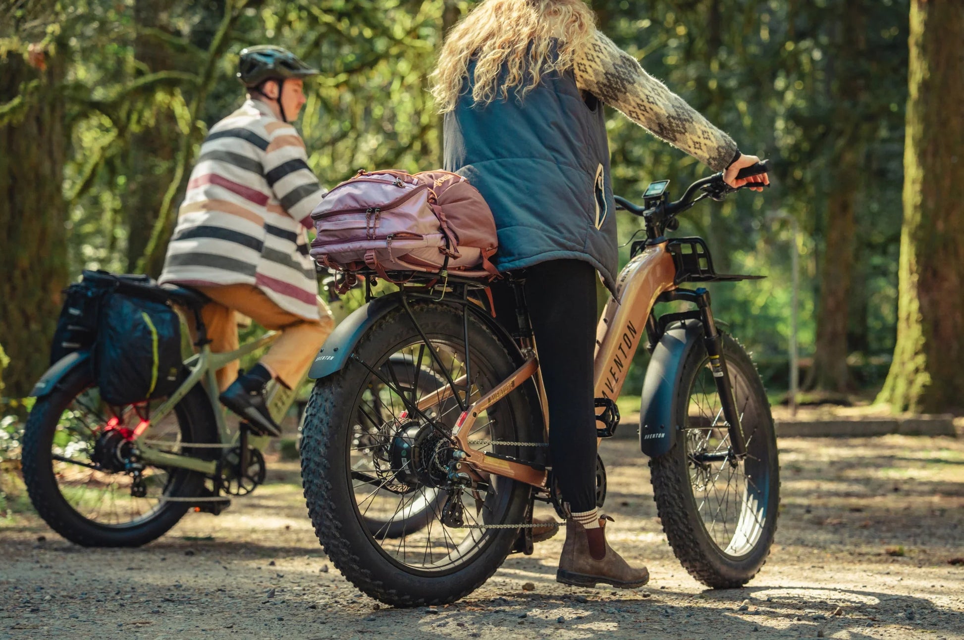 adventure electric bicycles Aventure 3 Step Through Ebike – Bicycle Warehouse