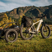 Aventon Aventure 3 Ebike - Bicycle Warehouse