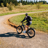 Aventon Aventure 3 Ebike - Bicycle Warehouse