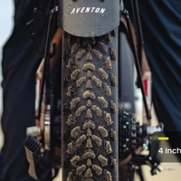Aventon Aventure 3 Step Through Ebike - Bicycle Warehouse