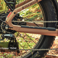 Aventon Aventure 3 Step Through Ebike - Bicycle Warehouse