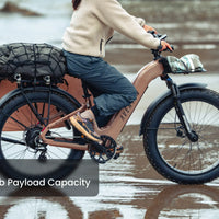Aventon Aventure 3 Step Through Ebike - Bicycle Warehouse