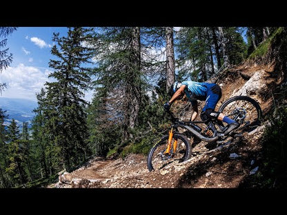 Reign Advanced Pro 29 1 Carbon Mountain Bike (2023)