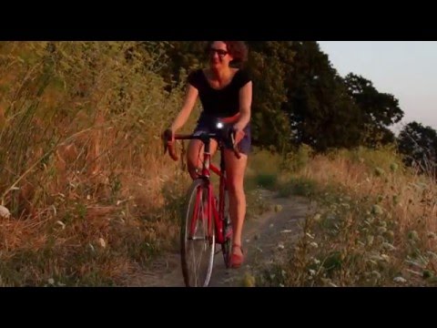 Owl Bike Bottle Cage