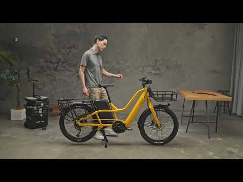 Double Kickstand