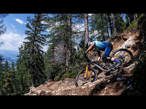 Reign Advanced Pro 29 2 Mountain Bike