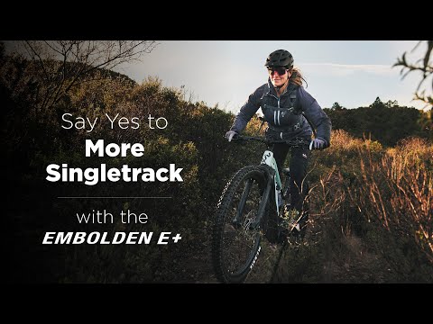 Embolden E+ 2  29 Electric Mountain Bike (2023)