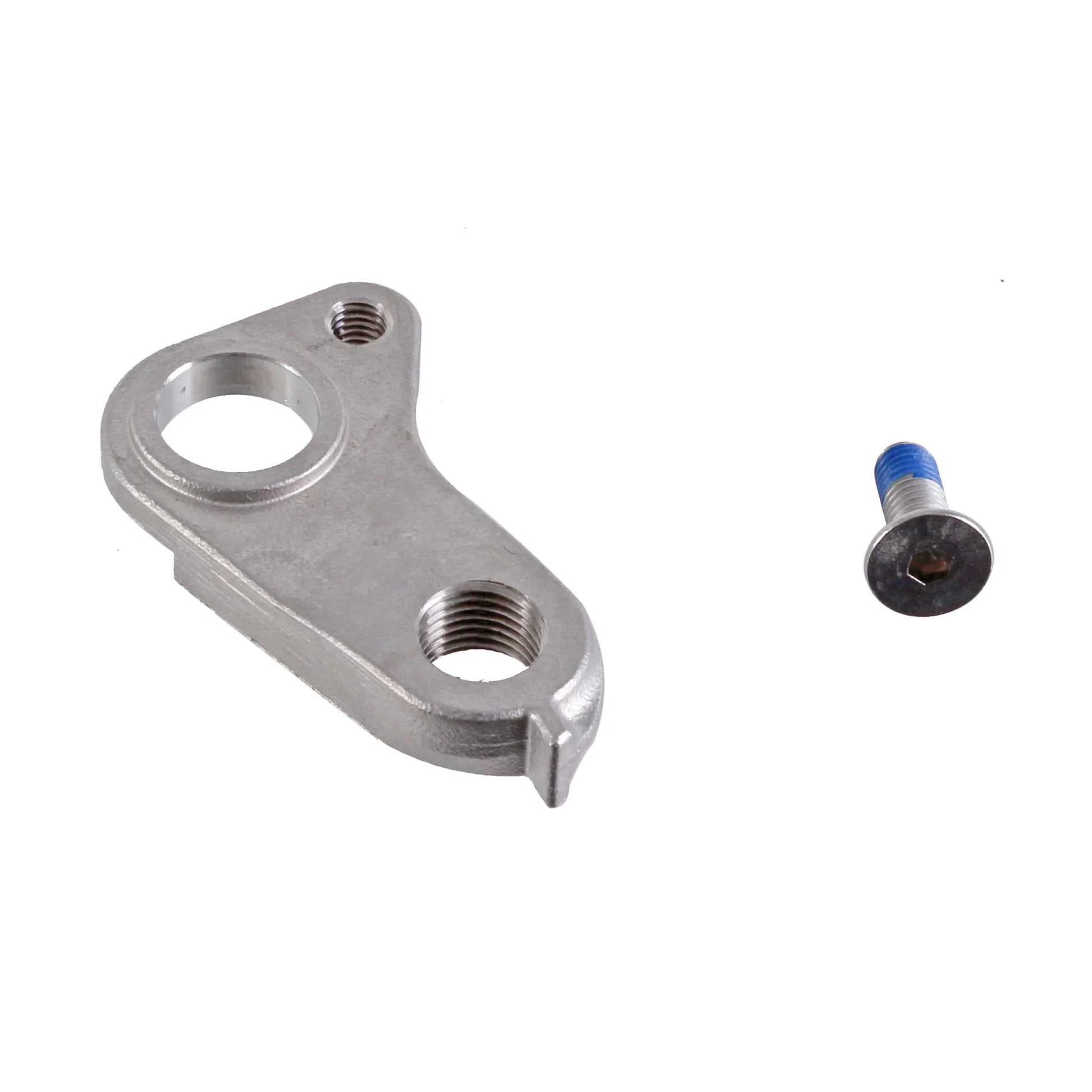 Derailleur Hanger for Steel Thru-Axle Frames - Bicycle Warehouse
