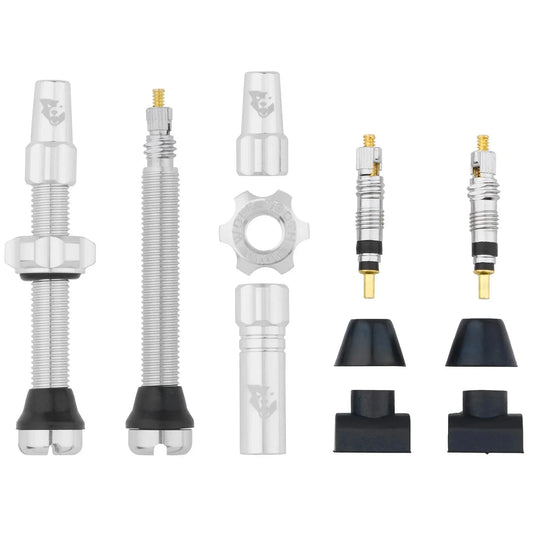 Tubeless Valve Stem Kit - 44 mm Silver - Bicycle Warehouse