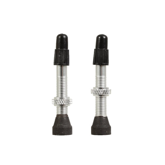 Tubeless Valves - 40mm Silver Pair - Bicycle Warehouse