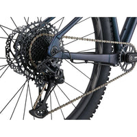 Liv Lurra Women's Mountain Bike - Bikes - Bicycle Warehouse