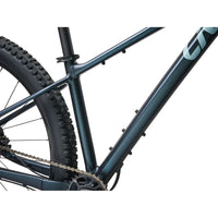 Liv Lurra Women's Mountain Bike - Bikes - Bicycle Warehouse
