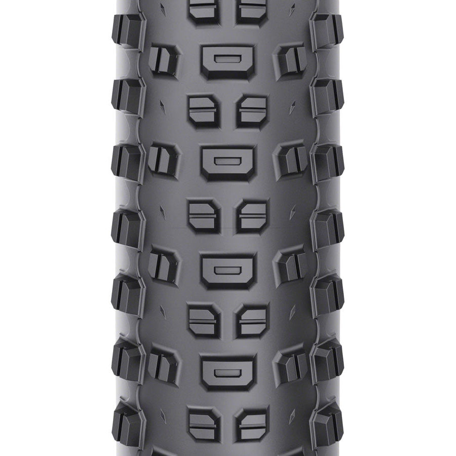 Ranger Mountain Bike Tire - 29 x 3.0, TCS Tubeless, Folding, Black,  Light/Fast Rolling, Dual DNA, SG2