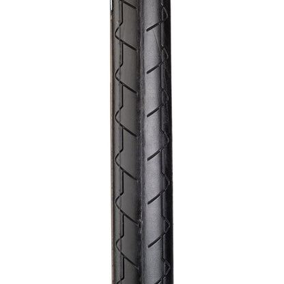 Michelin Dynamic Classic Road Bike Tire - 700 x 25, Clincher, Wire, Black/Tan - Tires - Bicycle Warehouse