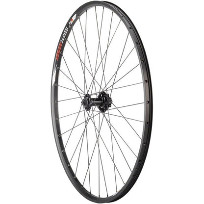 Bicycle Warehouse Q-WE8610 Double Wall Series Disc Front Wheel - 29", QR x 100mm, 6-Bolt, Black, Clincher - - Bicycle Warehouse