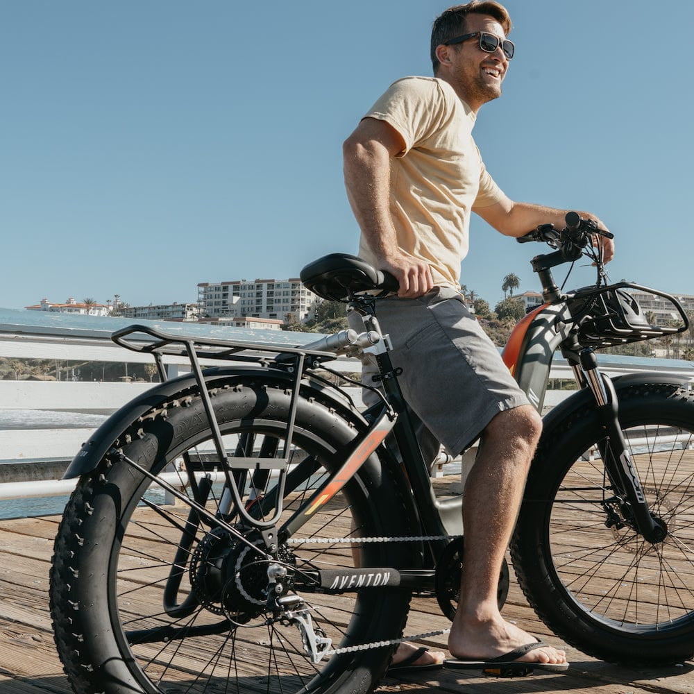 Aventon Aventure Rear Bike Rack – Bicycle Warehouse