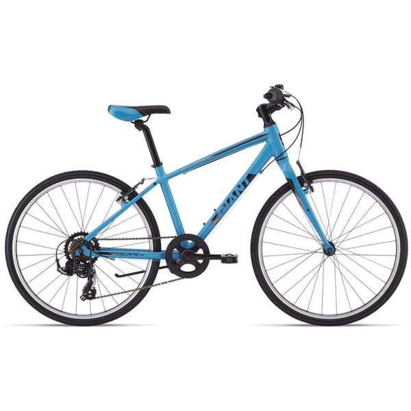 Blue giant mountain bike online