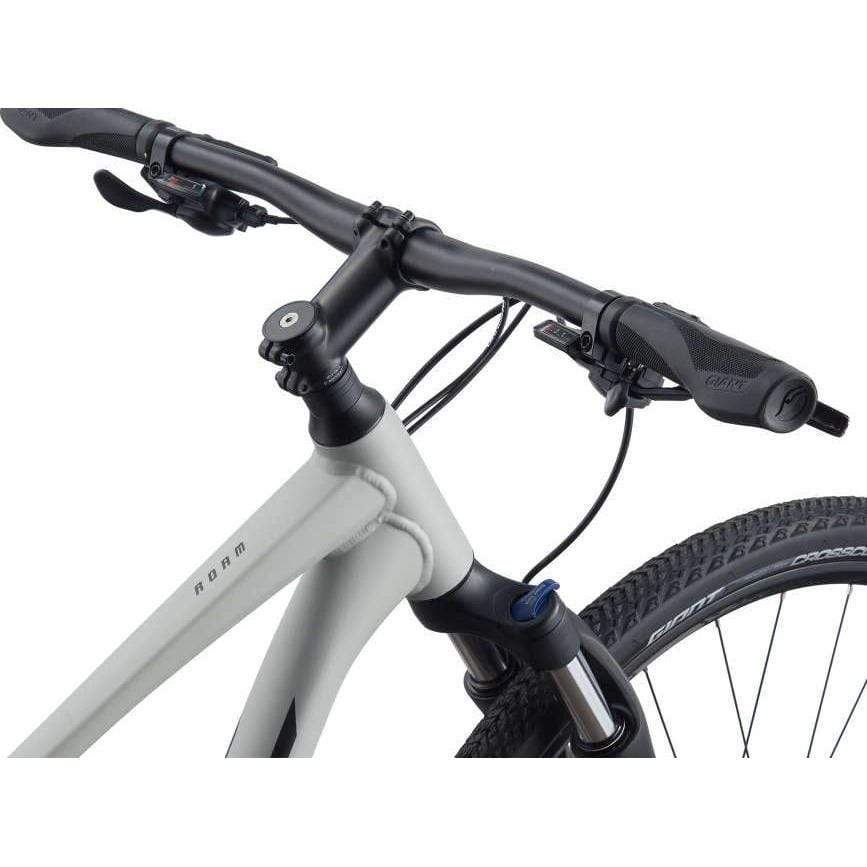 Giant Roam 3 Disc Hybrid Bike 2021 Bicycle Warehouse