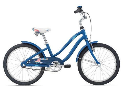 Two wheeler hot sale bicycle