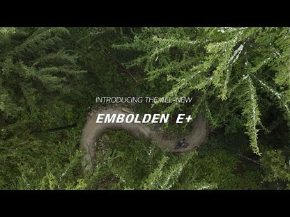 Embolden E+ 2 29er Electric Mountain Bike (2021)